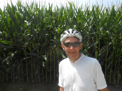 Shular with tall corn in Iowa
