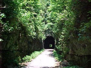 Tunnel on Hill Trail